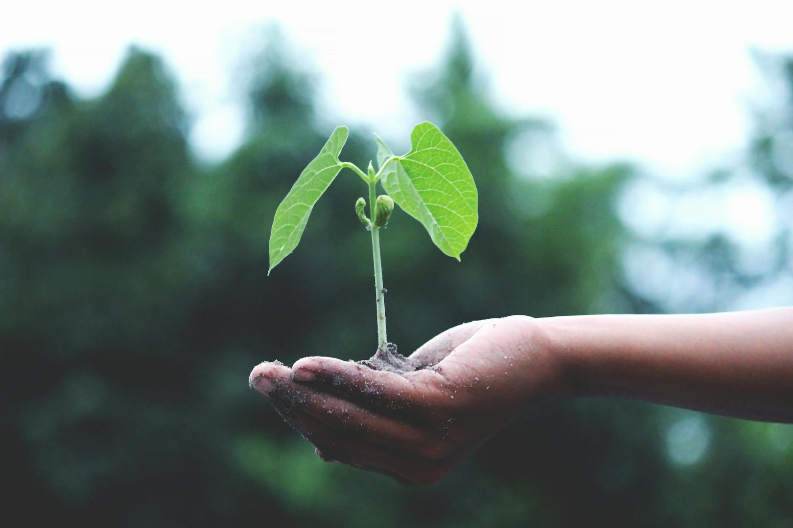 La Slow Cosmétique vise aussi à respecter la nature et les producteurs locaux pour le bienfait de la planète