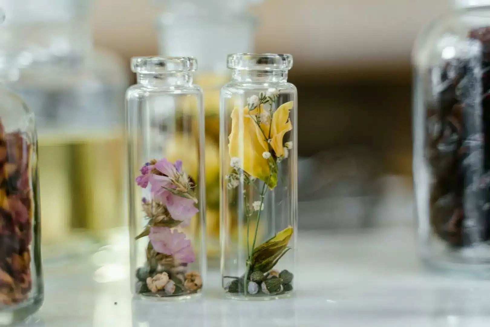 Fleurs séchées