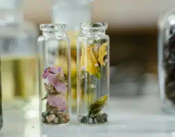 Huile Seche : un bienfait pour la peau et les cheveux, ou la barbe